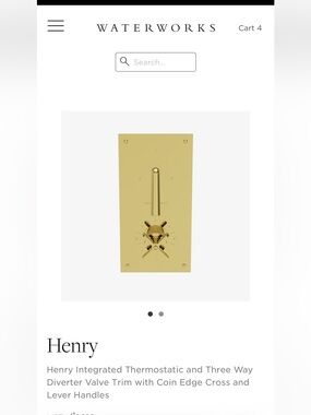 Waterworks Henry Wall Thermostatic Control Plate in brass